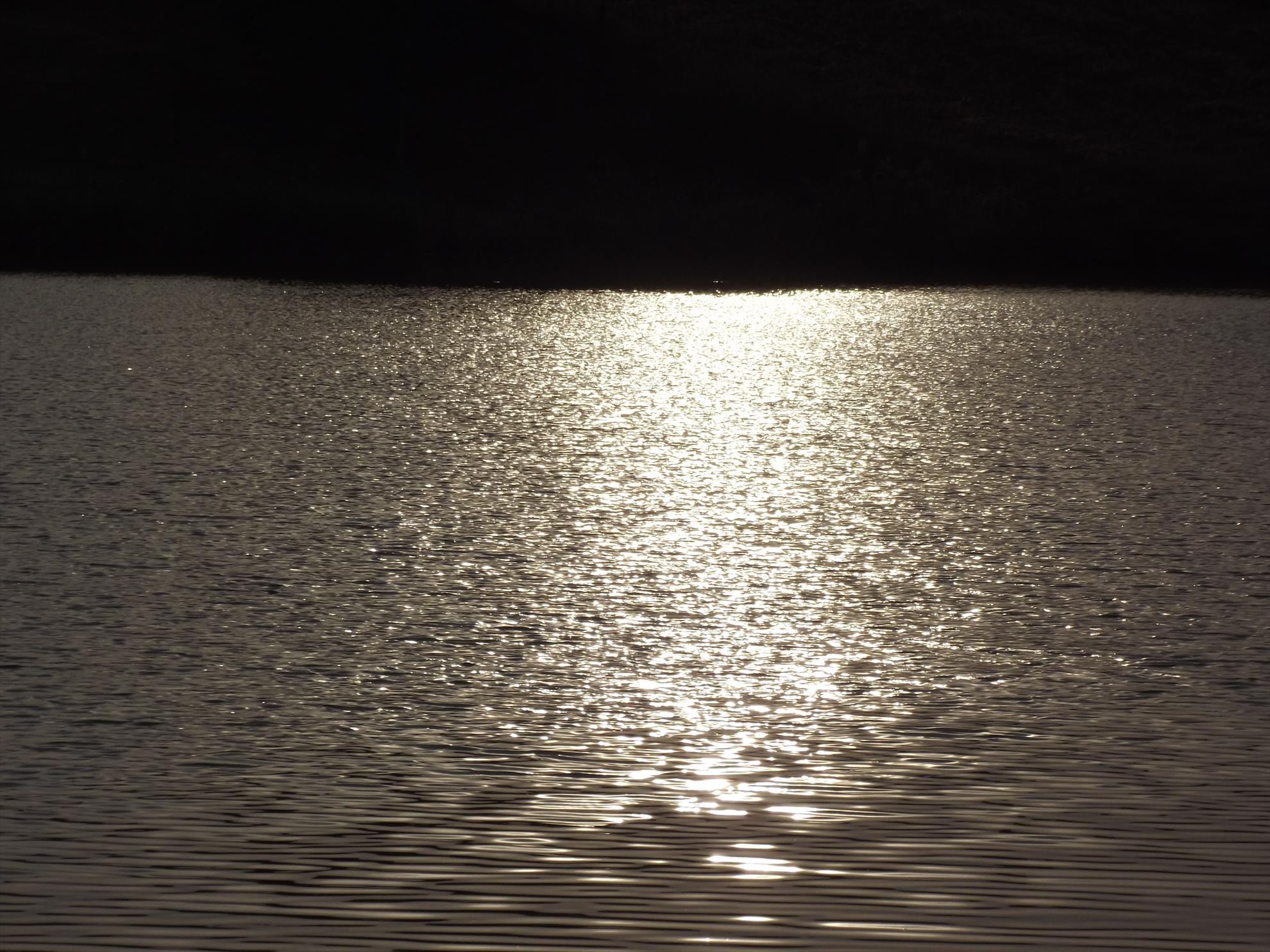 M.Vlasiei 2011 - dscf0483.JPG